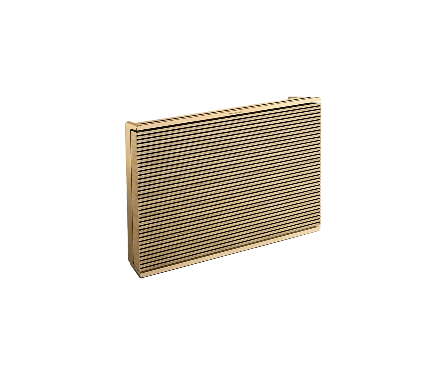 Beosound Level