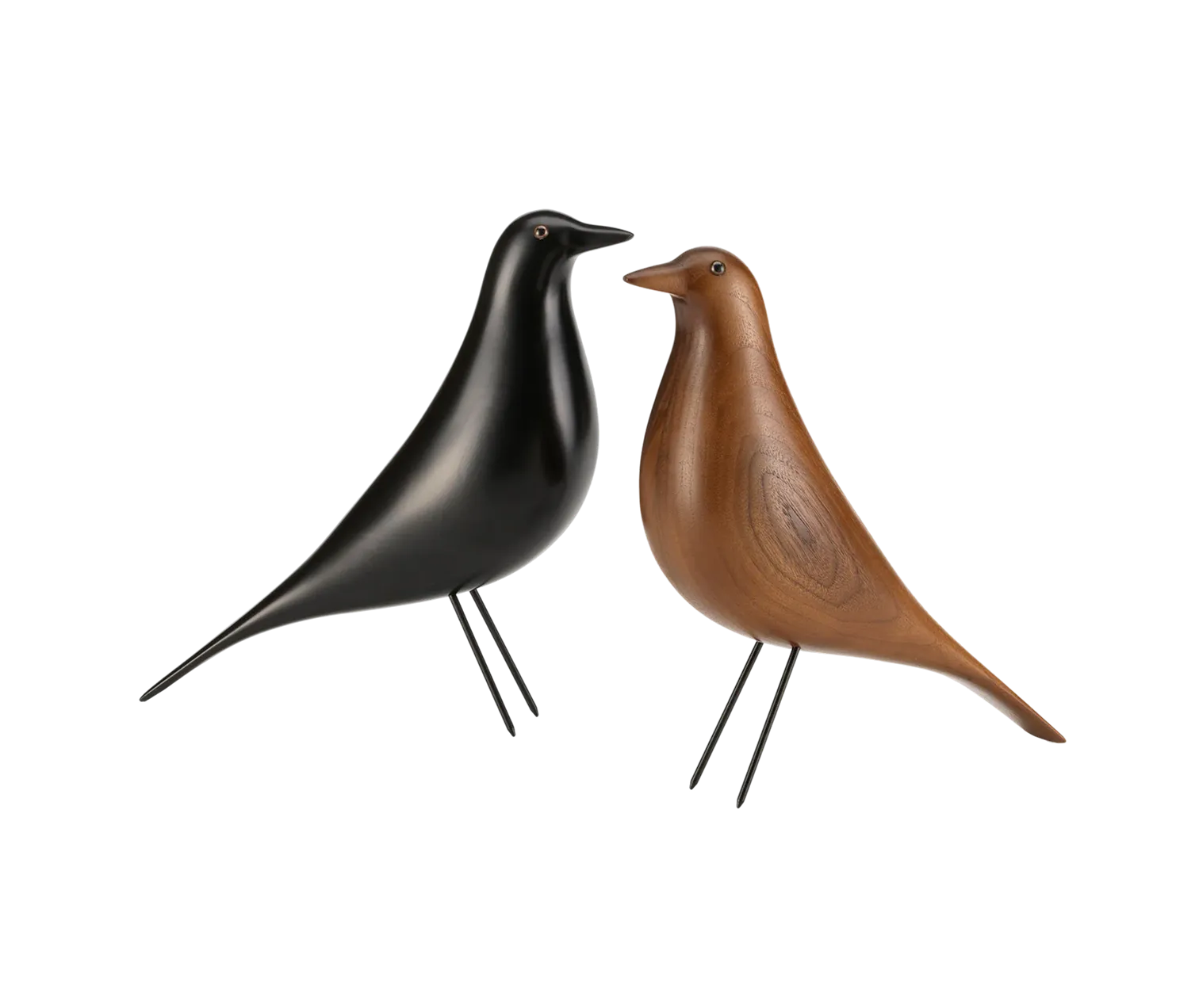 House Bird
